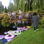Floating Garden at Regent's Park
