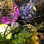 Floating Garden at Regent's Park