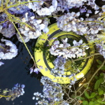 Floating Garden at Regent's Park