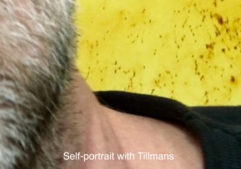Looks on TILLMANS 2017 exhibition at Tate Modern London