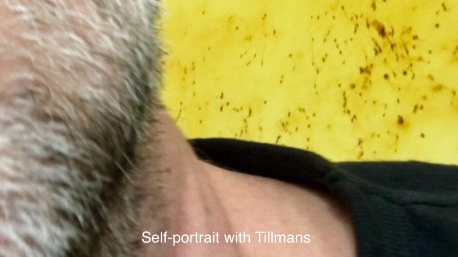 Looks on TILLMANS 2017 exhibition at Tate Modern London